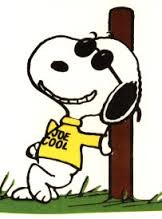 Joe Cool